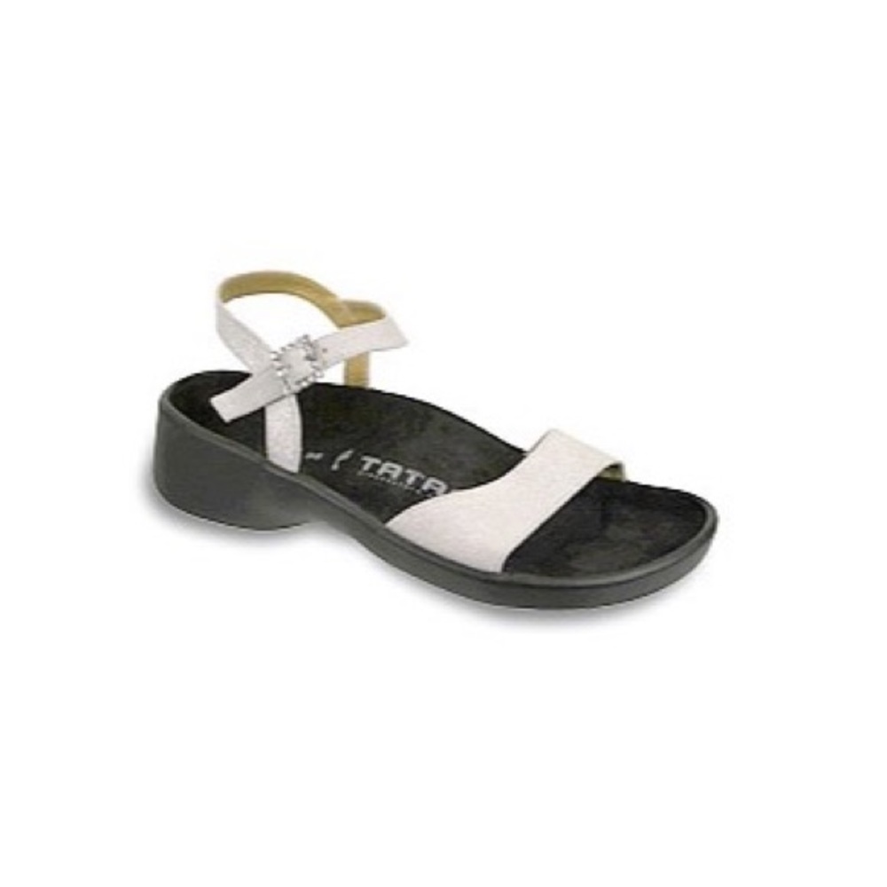 Tatami Josephine Silver Metallic Leather size 40